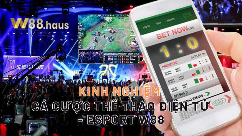 bi-quyet-ca-cuoc-the-thao-dien-tu-esport-w88