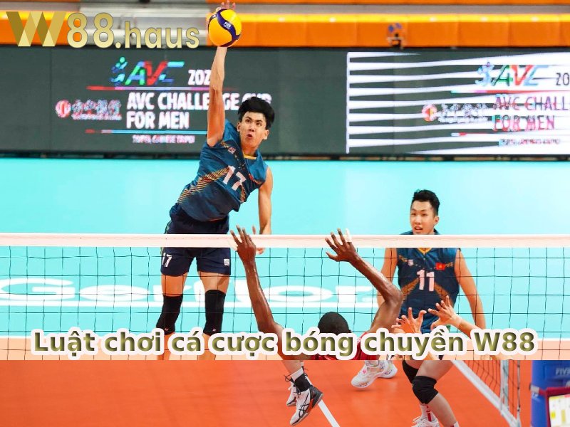 ca-cuoc-bong-chuyen-w88-3