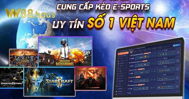 cac-loai-keo-ca-cuoc-the-thao-dien-tu-esport-w88